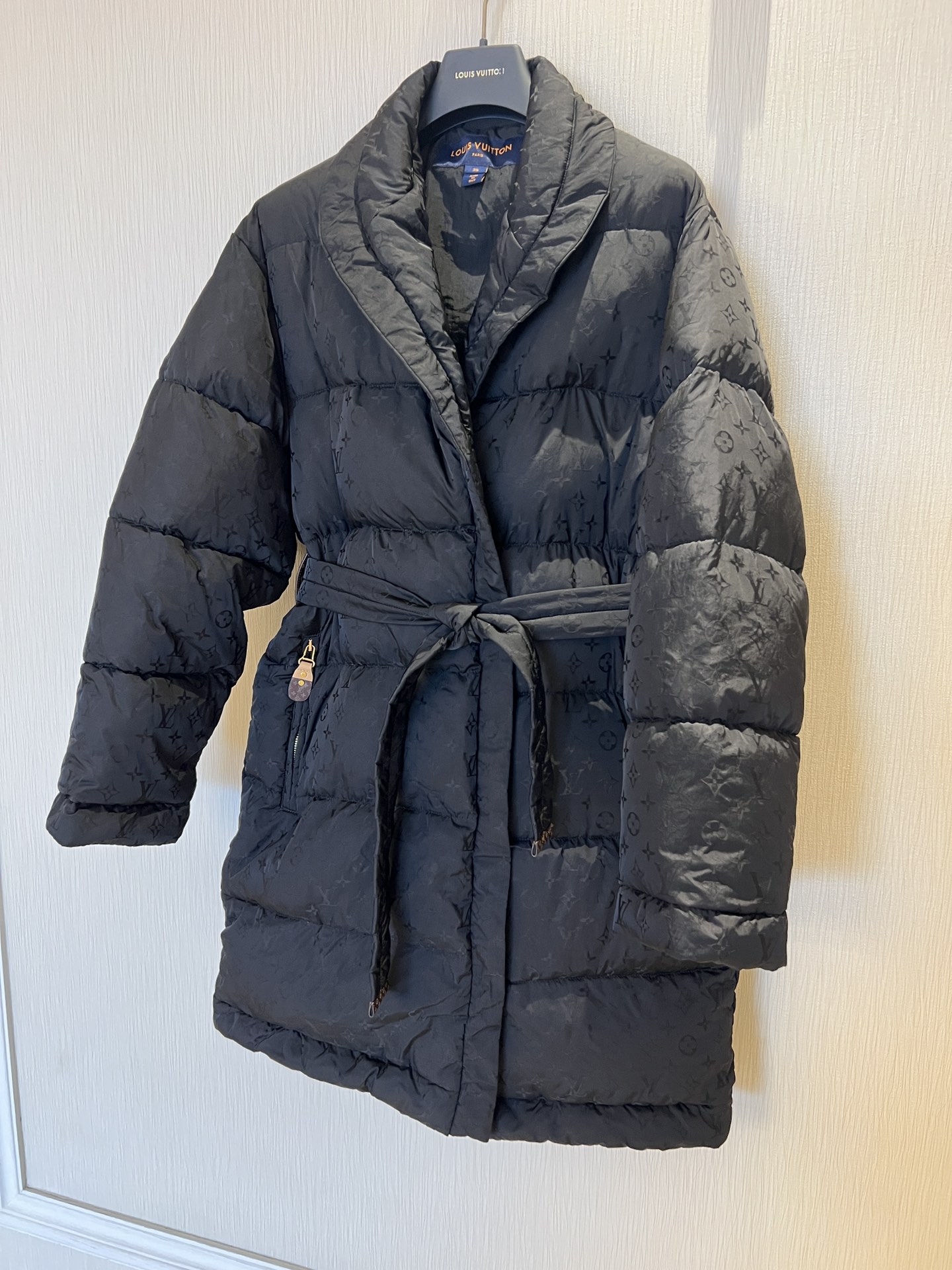 Louis Vuitton Down Jackets